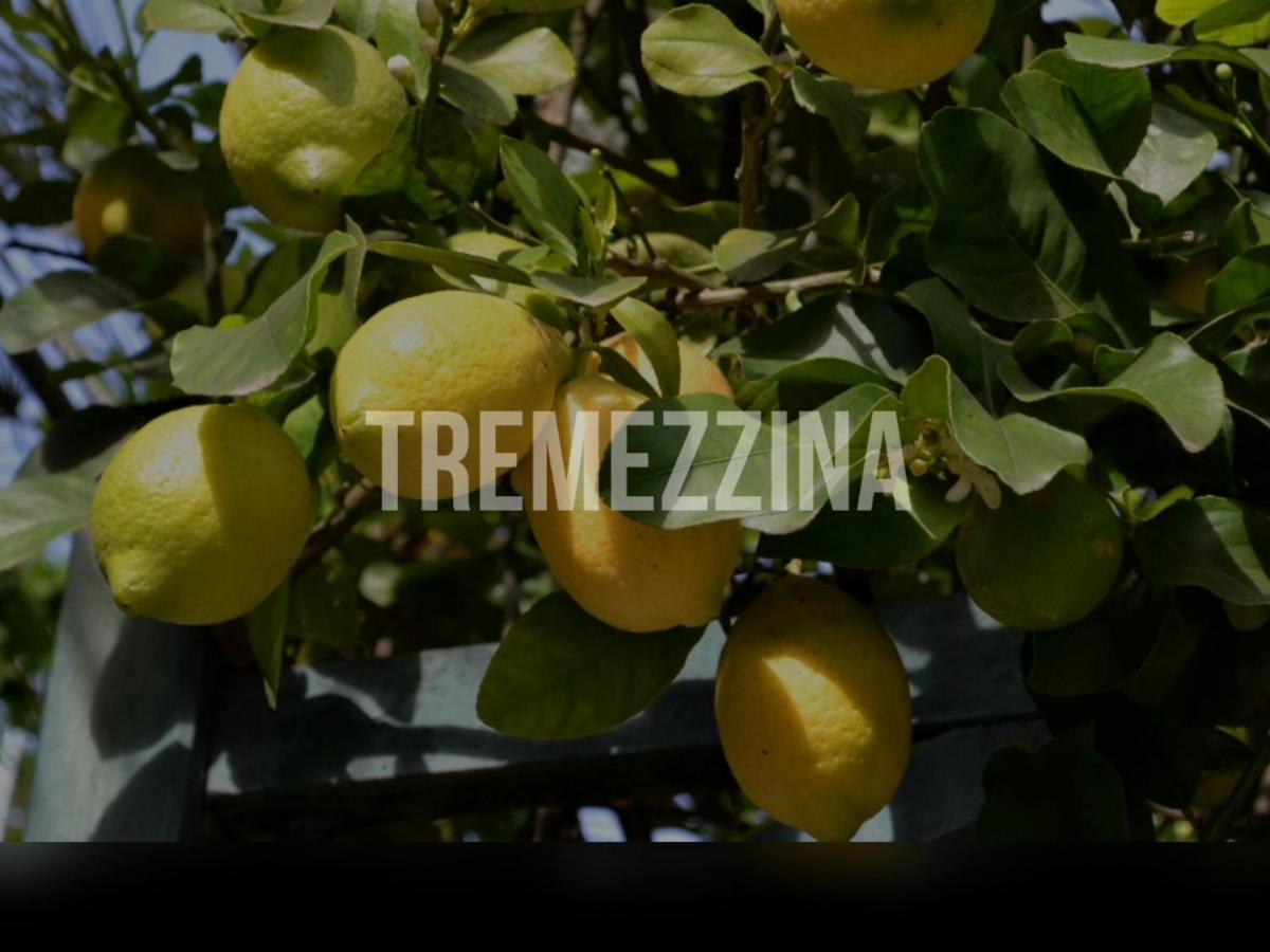 Ferienwohnung Il Nido Nella Quiete Tremezzo Exterior foto