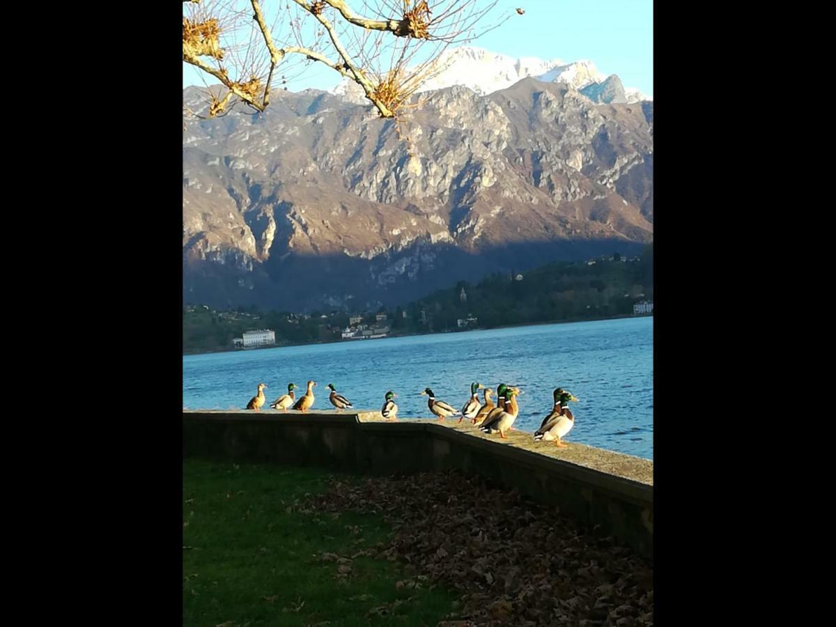 Ferienwohnung Il Nido Nella Quiete Tremezzo Exterior foto