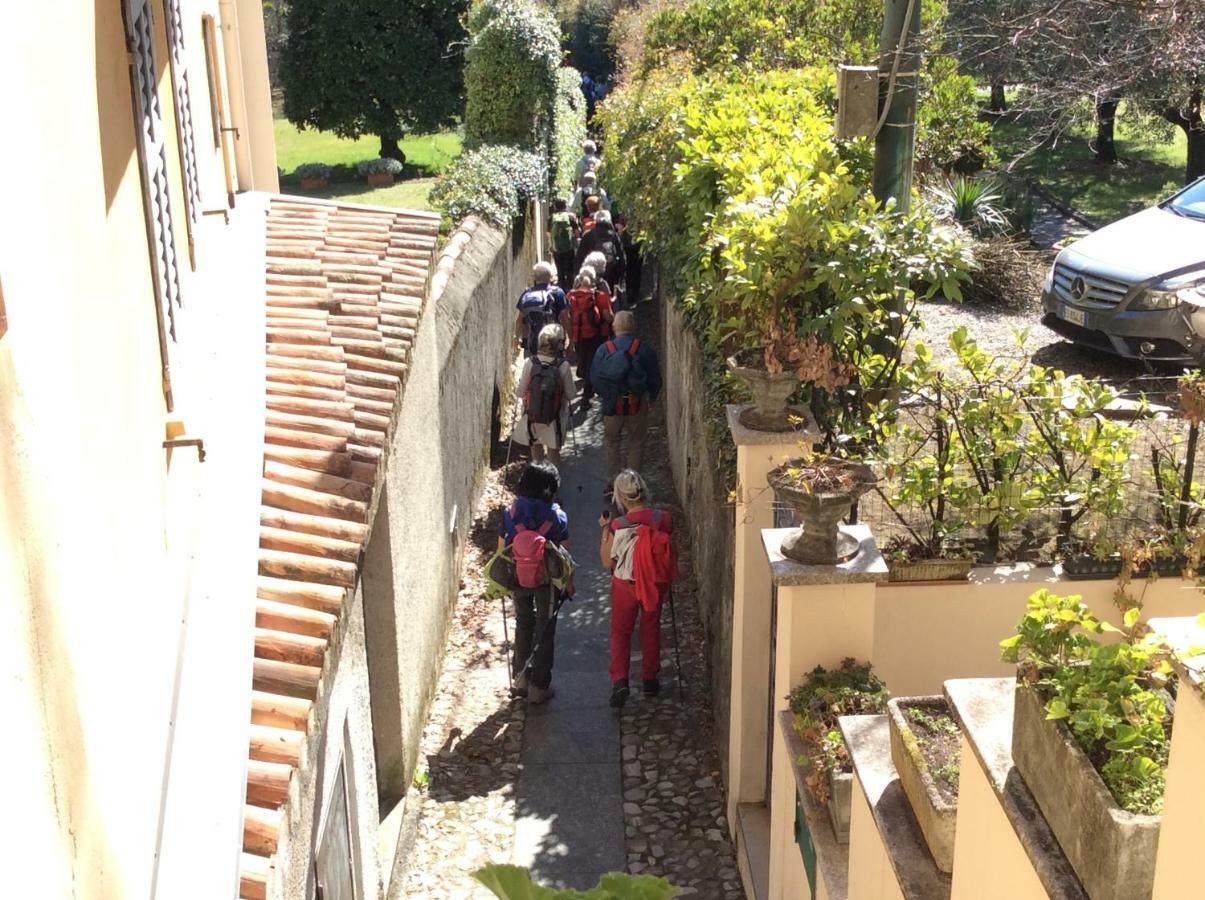 Ferienwohnung Il Nido Nella Quiete Tremezzo Exterior foto